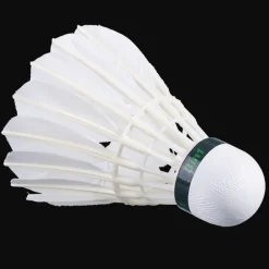 Babolat HYBRID Challenge><noscript><img width=